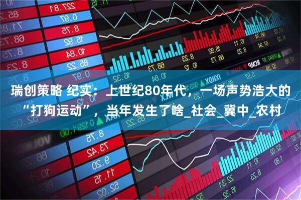 瑞创策略 纪实：上世纪80年代，一场声势浩大的“打狗运动”，当年发生了啥_社会_冀中_农村